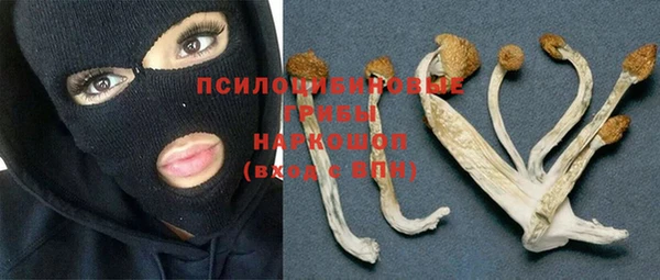 спиды Абдулино