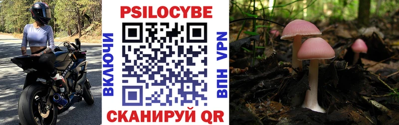 Псилоцибиновые грибы мицелий  Заринск 